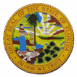 achivement-logo